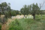 GL 0198 - Coastal Land - Dardiza - Ermioni